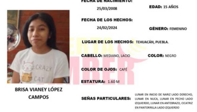 Brisa de 15 años desapareció en calles de Tepeaca