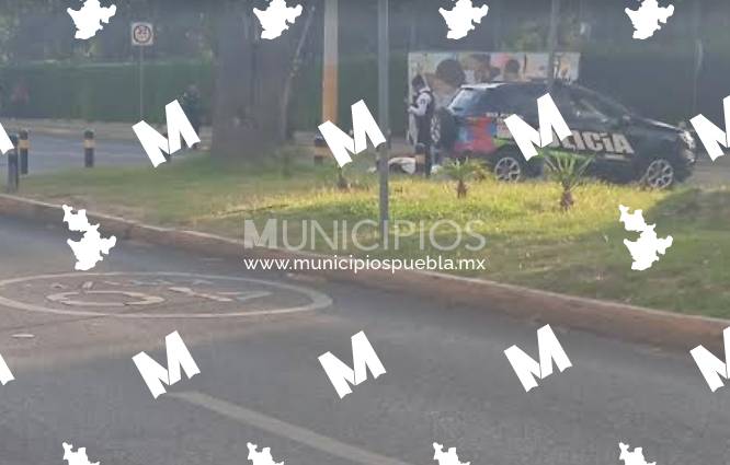 Ruta 10 atropella y mata a abuelita en San Manuel