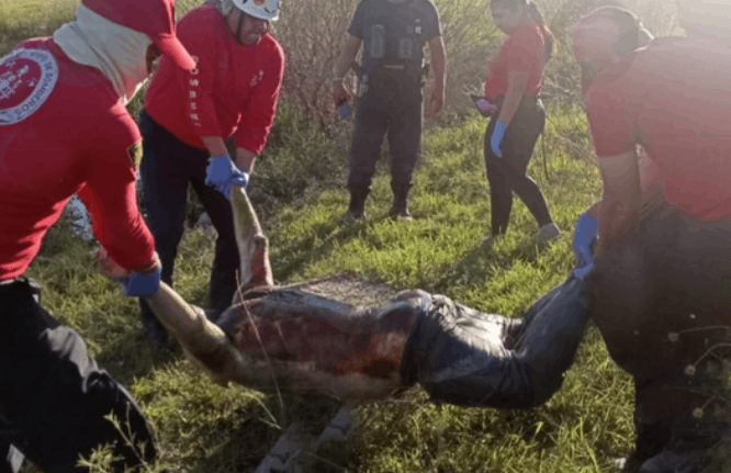 Encuentran cadáver flotando en laguna en Santa Clara Ocoyucan