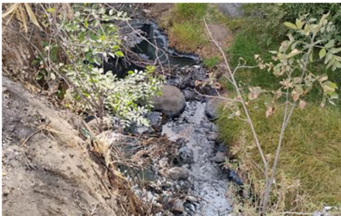 Vecinos de El Verde acusan contaminación del río Santa Elena