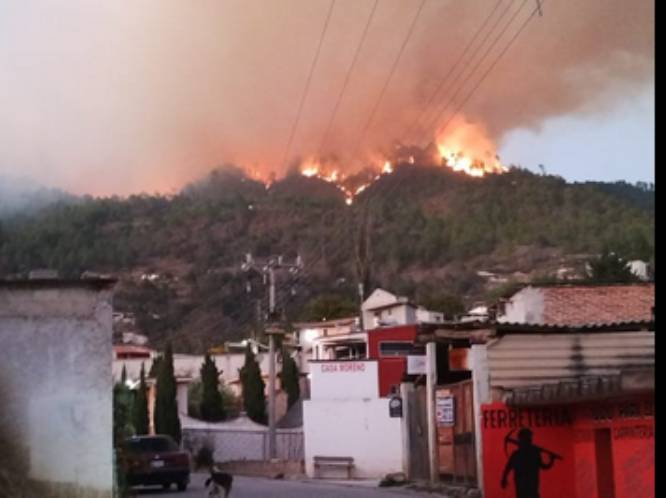 VIDEO Vecinos de Ixtacamaxtitlán piden ayuda para controlar incendio forestal