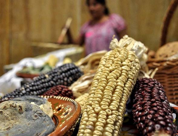 Invitan al diplomado Cocinas y cultura alimentaria en México