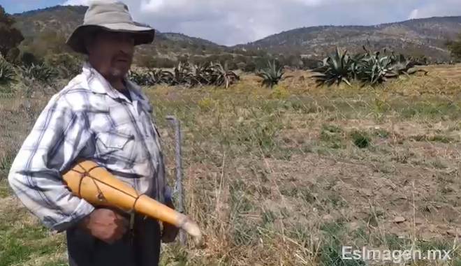 VIDEO Celebran el Día Nacional del Pulque en Tlaxco