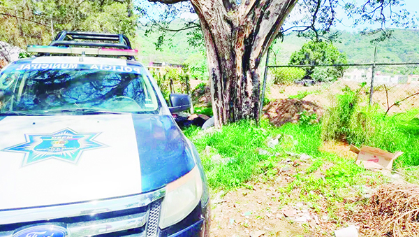 Dejan puma muerto en calles de Jalisco