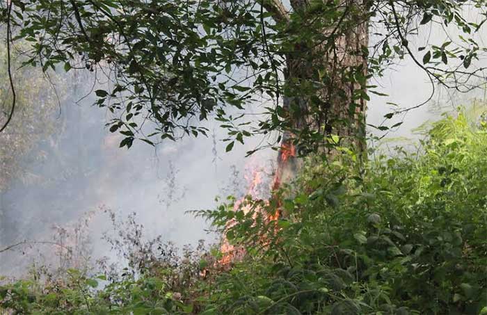 Confunden quema agrícola con incendio forestal en Zacapoaxtla