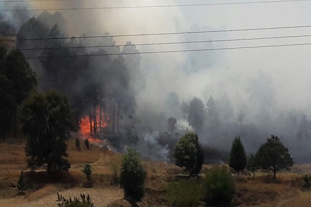 En zonas codiciadas para negocio  se provocaron incendios: Conafor