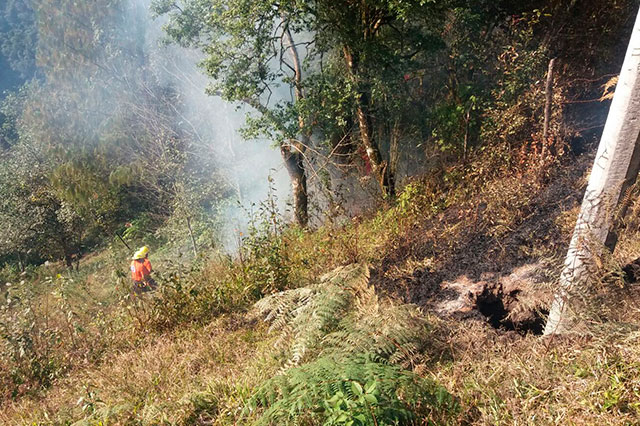 Caída de cable ocasiona incendio de árboles en Huauchinango