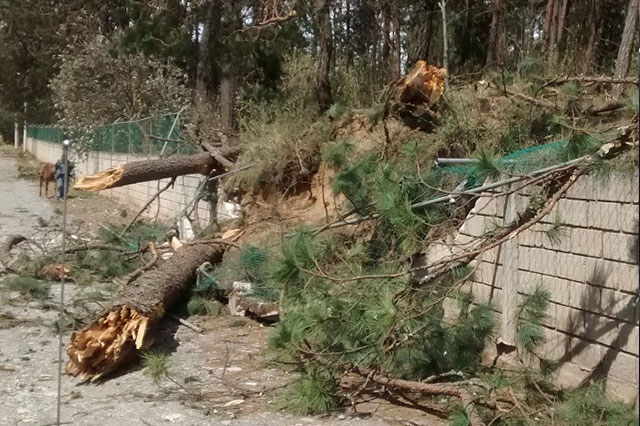 Rachas de viento de 100 kilómetros azotaron a Huauchinango