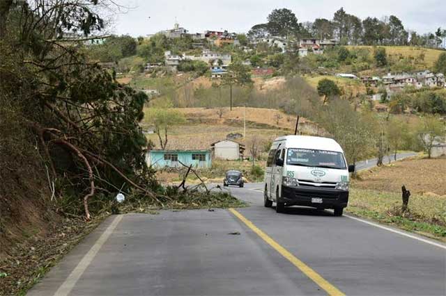 Lluvia y viento afectan mil viviendas en Zacapoaxtla