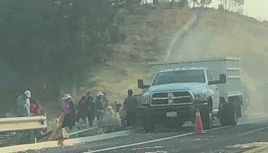 Rapiña de pollos en la Amozoc-Perote