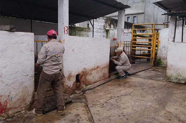 Cofepris realiza inspección al rastro municipal de Atlixco