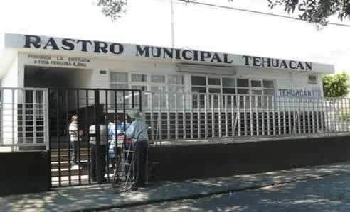 Reubicarán rastro municipal de Tehuacán