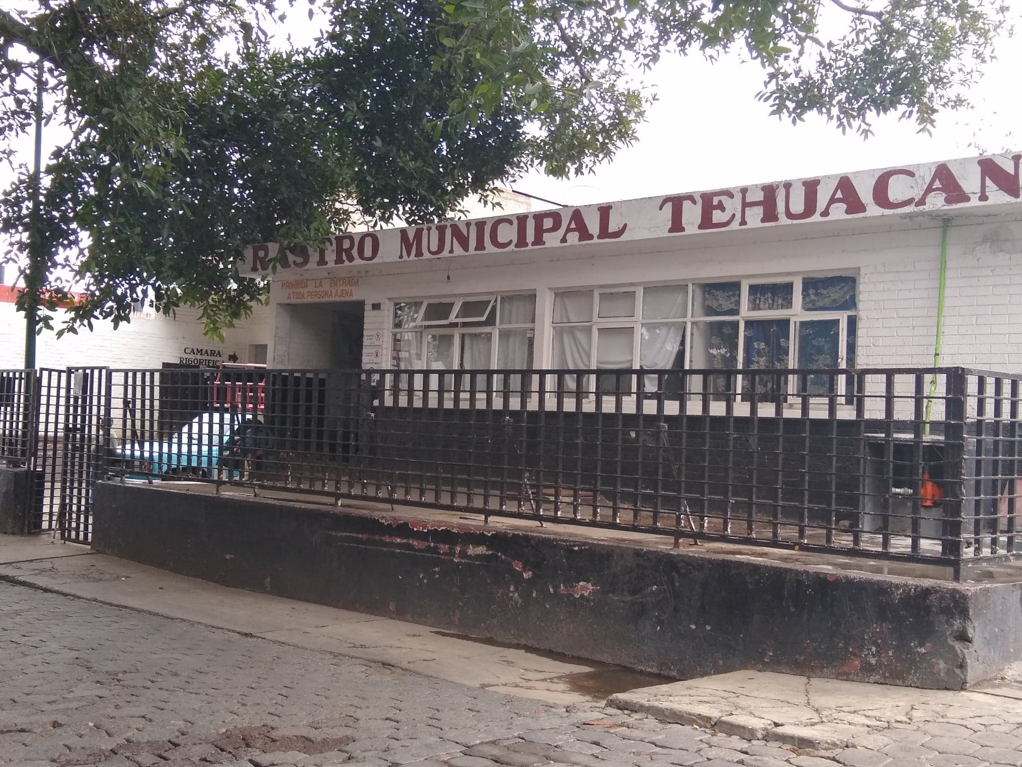 Construcción del rastro municipal de Tehuacán será en 2022: Tepole 