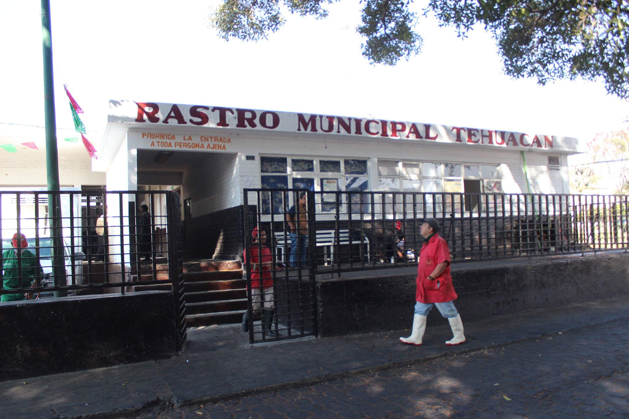 Registra rastro municipal de Tehuacán procedimiento por condiciones sanitarias: DPRIS 