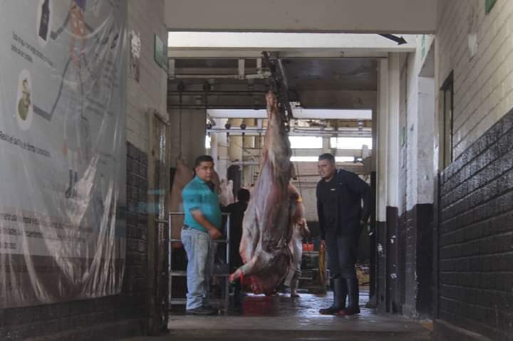 Detectan carne contaminada con tuberculosis en rastro de Tehuacán