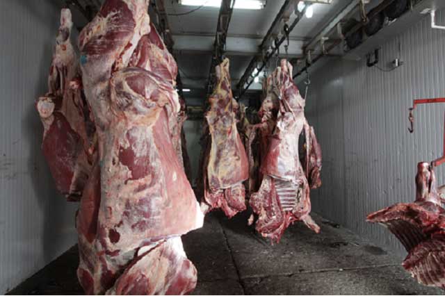El 60% de la carne que se consume en Puebla es de mataderos clandestinos