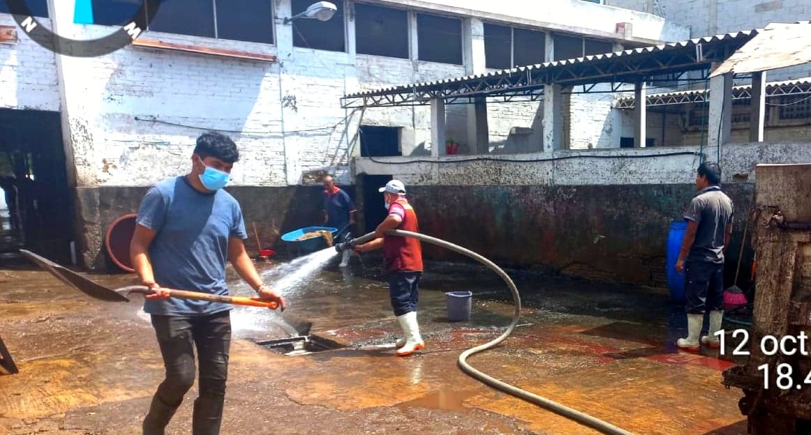 Detectan acumulación de residuos y gusanos en rastro de Tehuacán