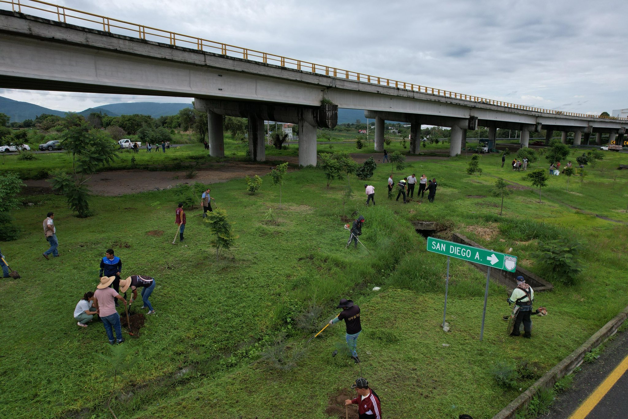 Ariadna Ayala reforesta en el puente cantarranas en Atlixco