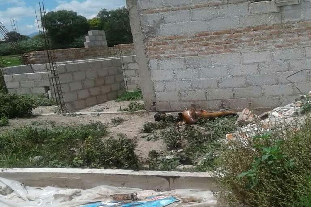 Matan a mujer y es devorada por perros en Tehuacán