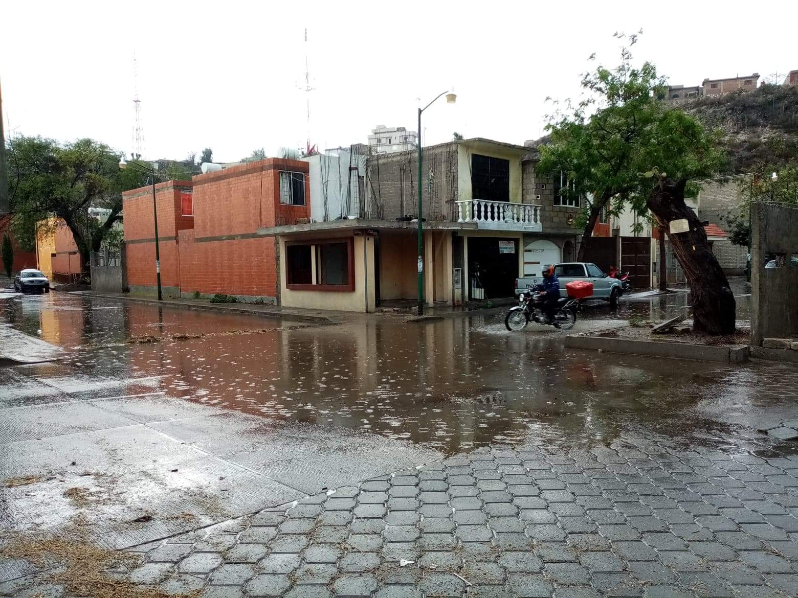 Primera granizada en Tehuacán provocó caída de árbol
