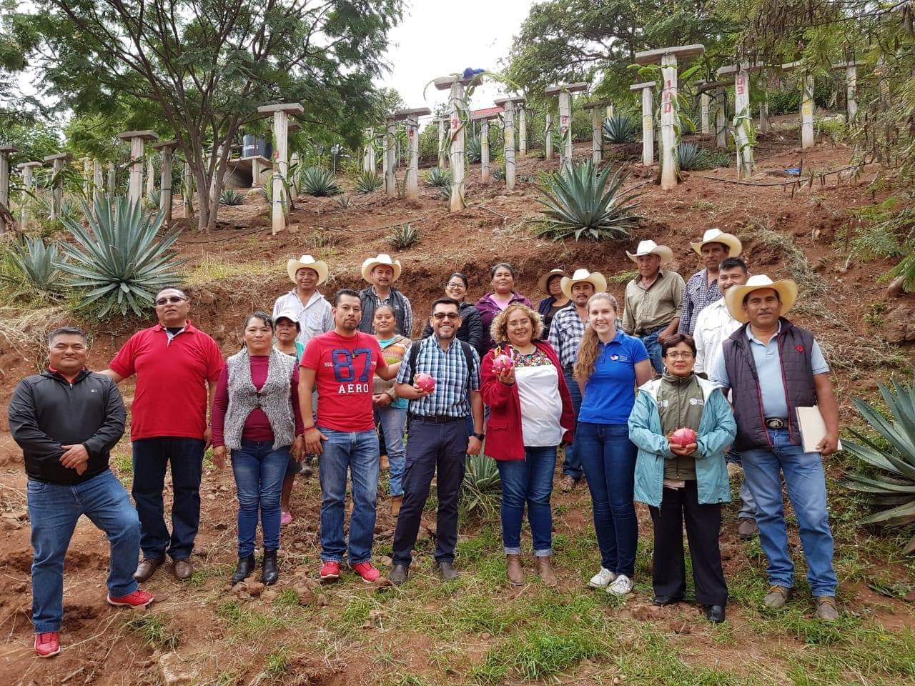 Rescatan pitahaya en Reserva de la Biósfera Tehuacán-Cuicatlán, y ganan Premio Nacional