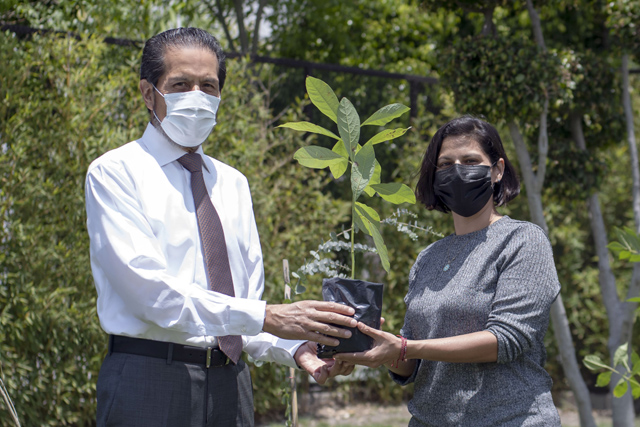 Entrega rector Alfonso Esparza más de 800 especies con Adopta un árbol