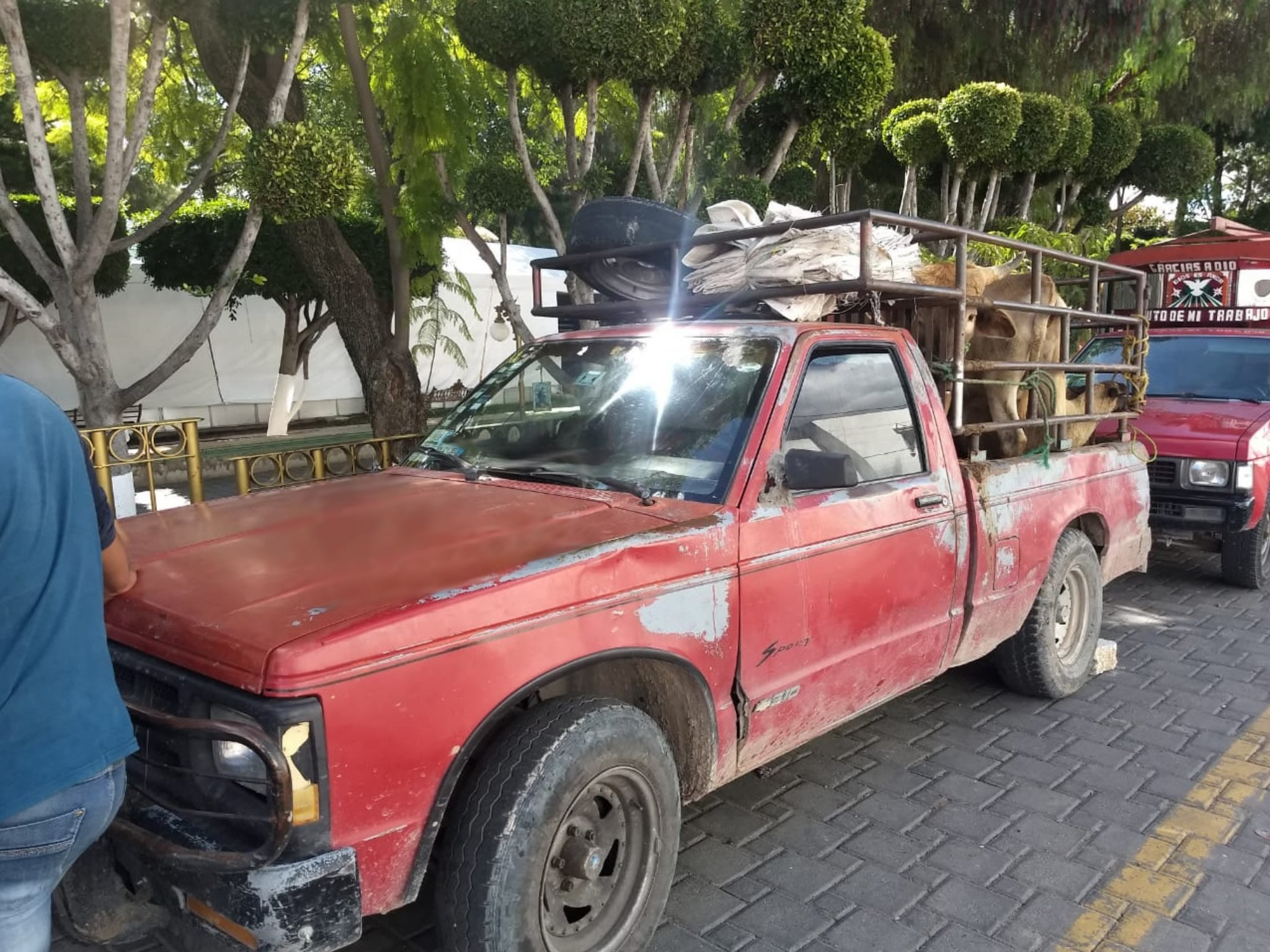 Tras operativo, recuperan camionetas robadas en Tecamachalco