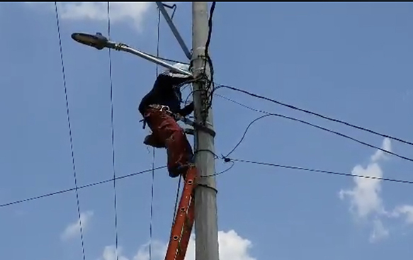 Dan mantenimiento a red de energía eléctrica en Coronango