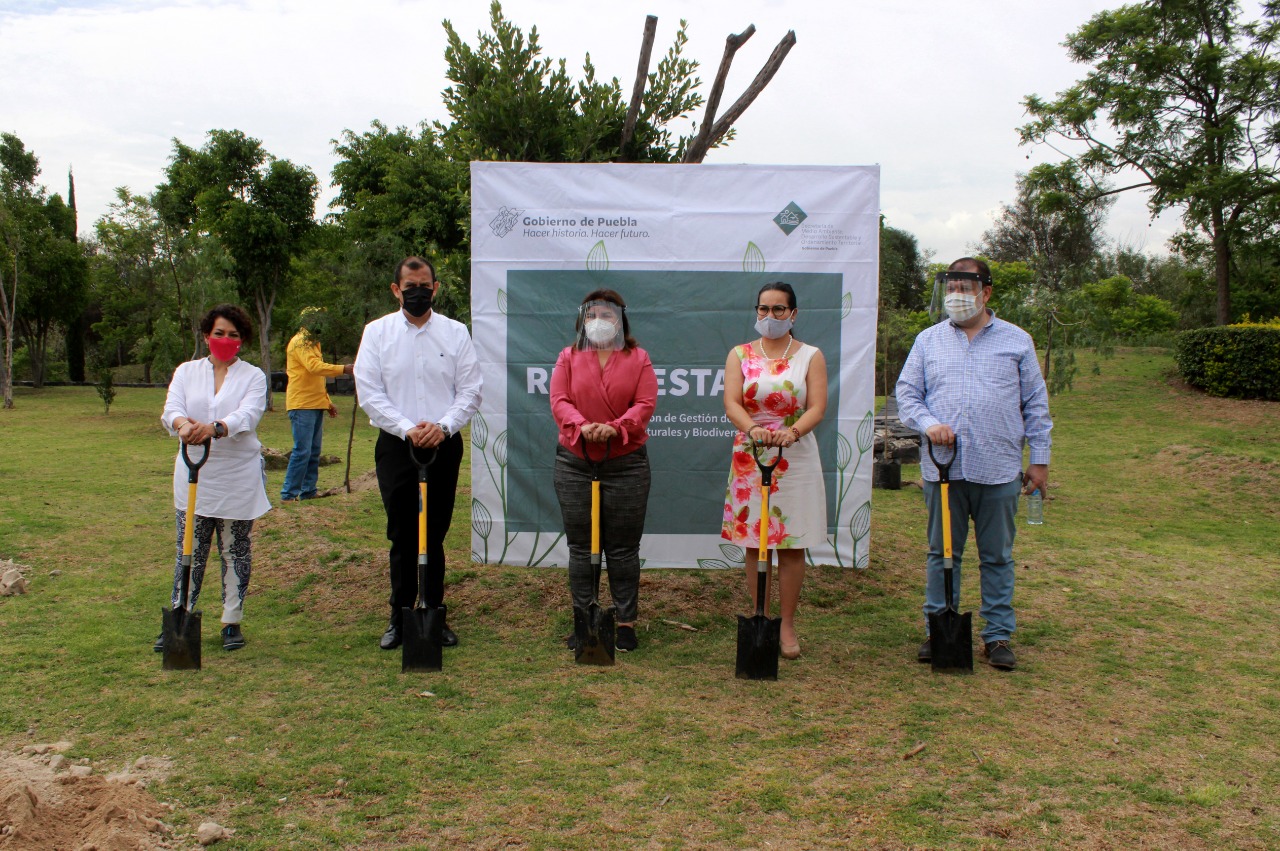 Reforestará Medio Ambiente 179 hectáreas en Puebla