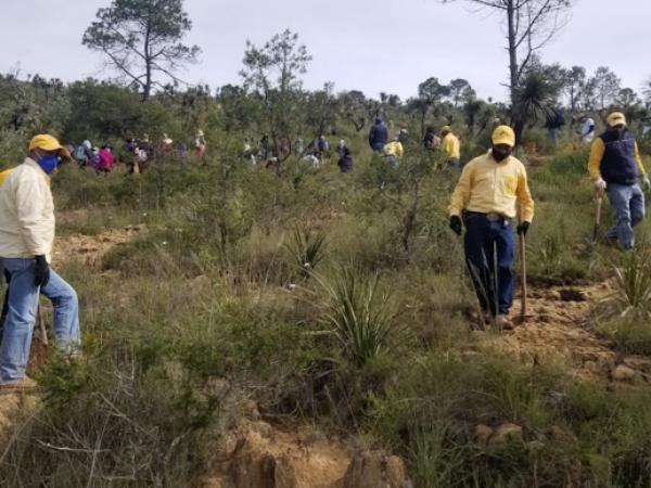 Realizarán macro reforestación en 13 municipios poblanos