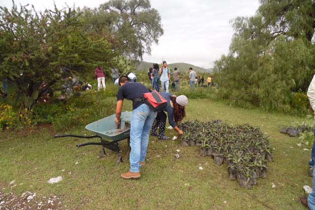 Buap y China realizan reforestaración en Tecamachalco