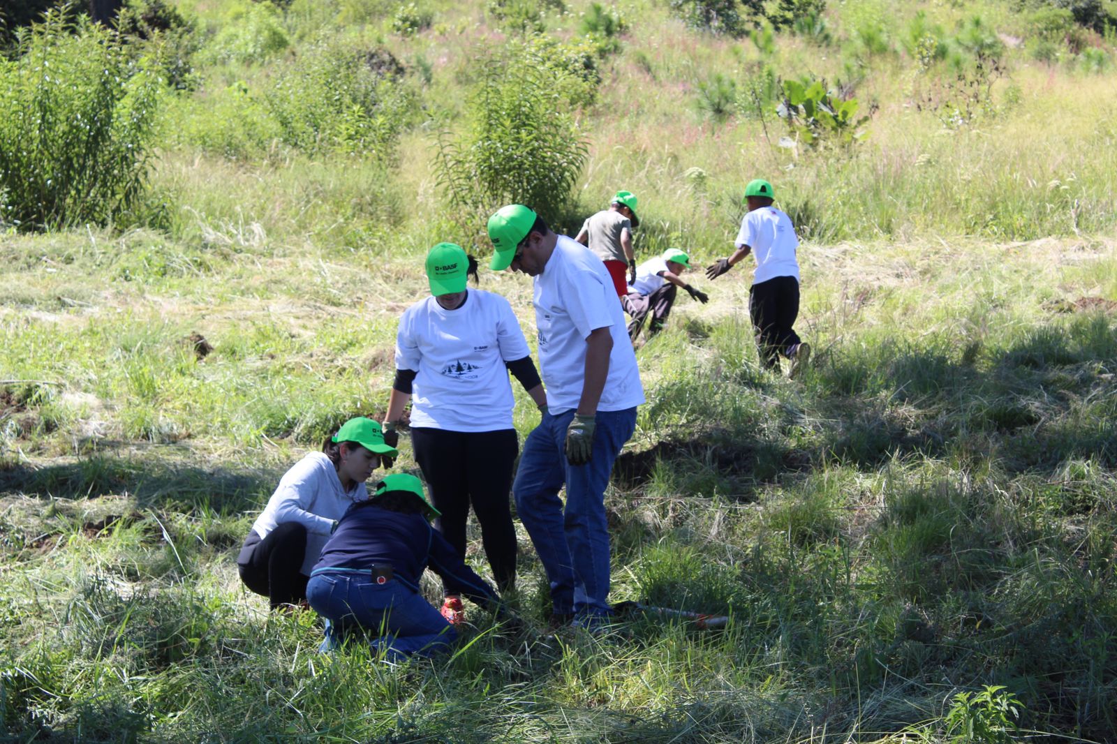 Reforestará gobierno de Puebla zona Izta-Popo con más de 440 mil plantas