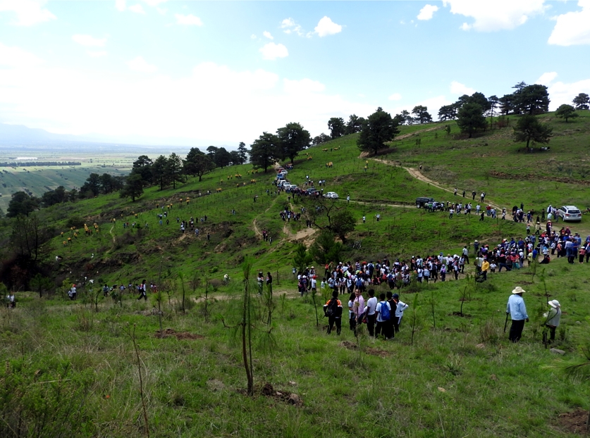 Advierte Estado que impedirá desarrollos habitacionales en cerro Zapotecas