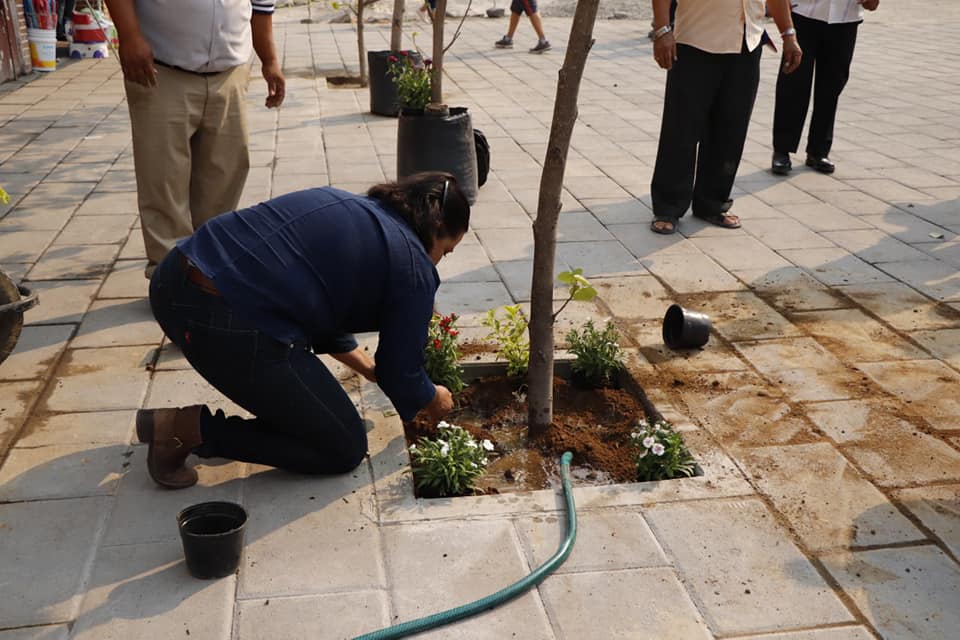 Reforestan el centro de Izúcar de Matamoros