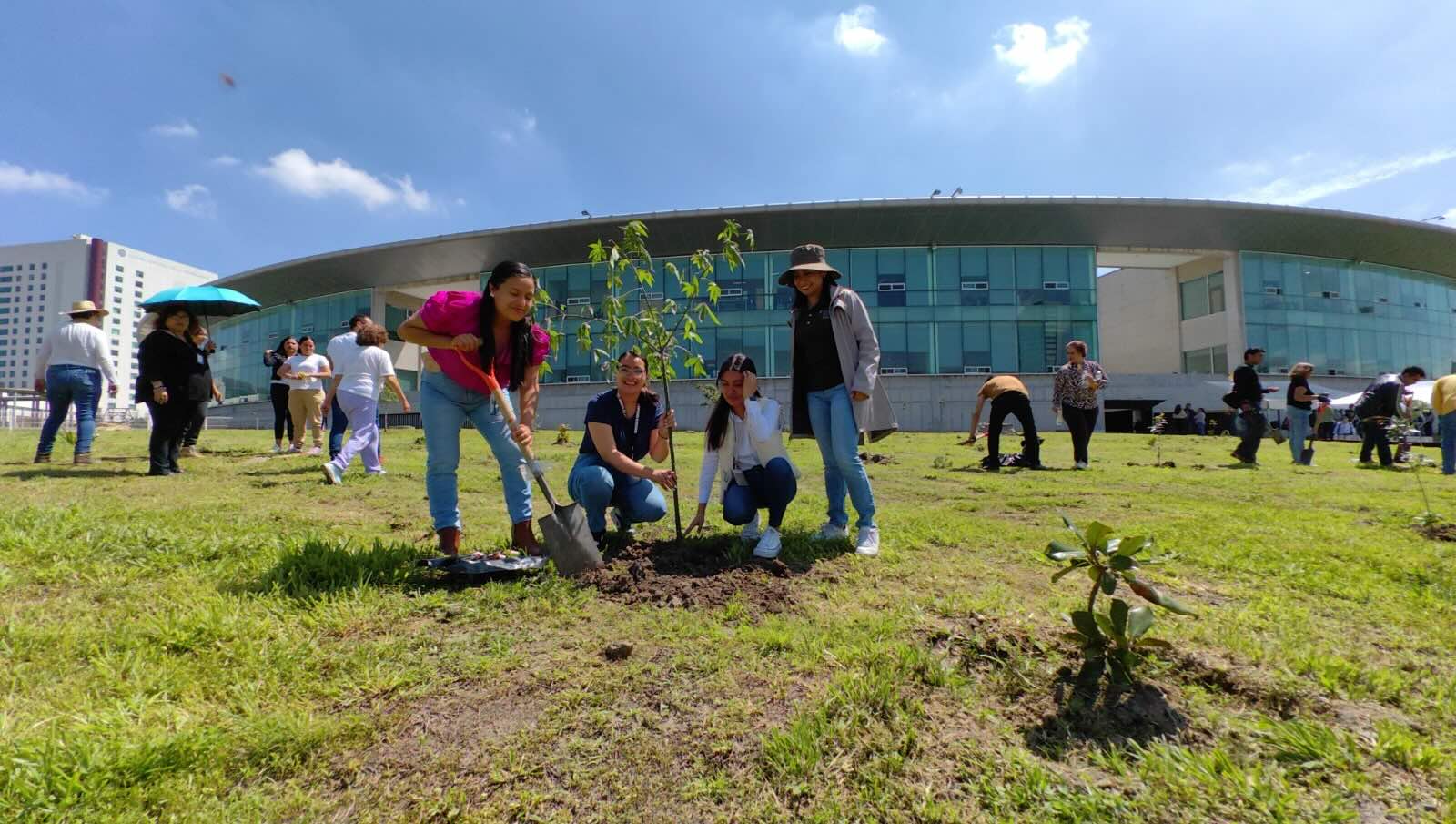 Reforestan perímetro de Ciudad Judicial Siglo XXI