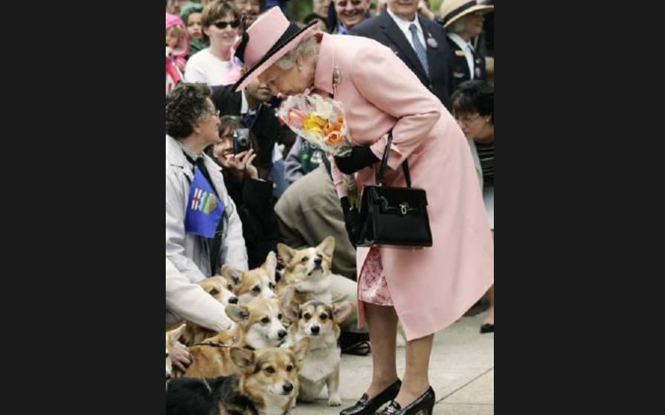 Adoptan a Muick y Sandy, los corgis de la reina Isabel II