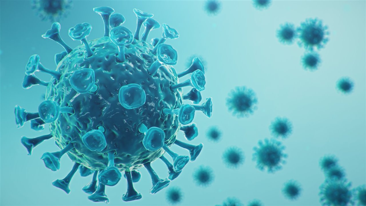 Registran aparición de nuevo virus de origen animal en China: Langya