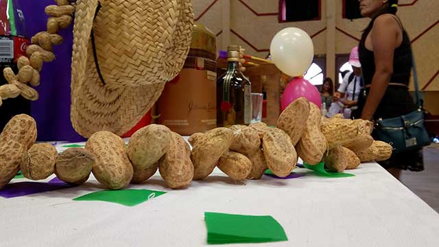 Repunta la economía en feria del cacahuate en Tlapanalá