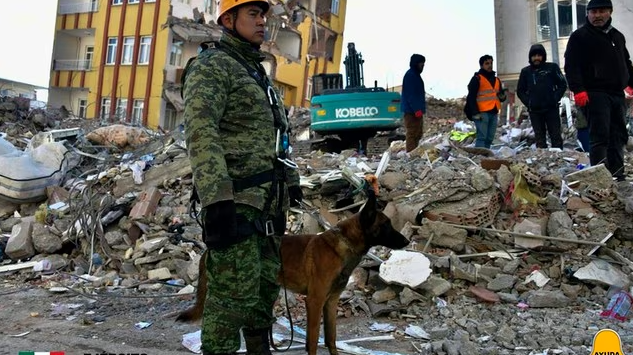Bravo a los rescatistas mexicanos