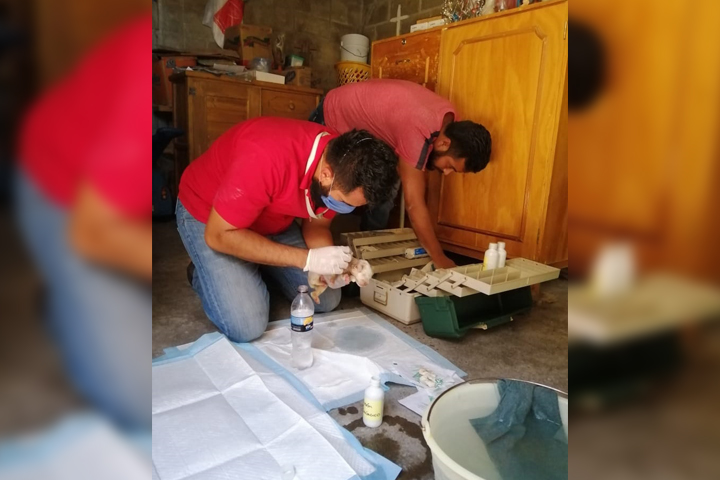 Cachorrita atrapada es rescatada por Bienestar Animal en Texmelucan