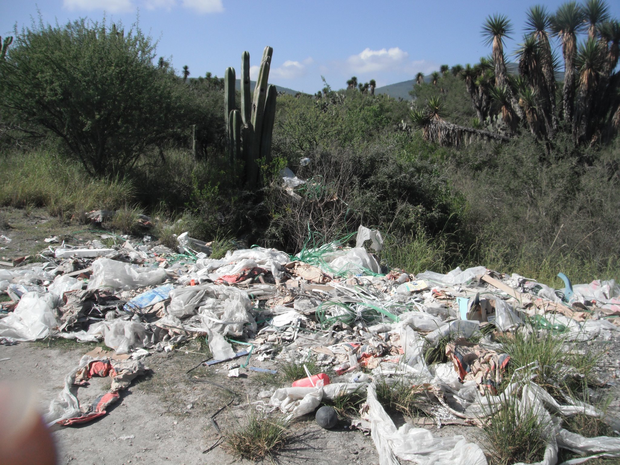 Detectan 10 tiraderos de basura en la Reserva Tehuacán-Cuicatlán