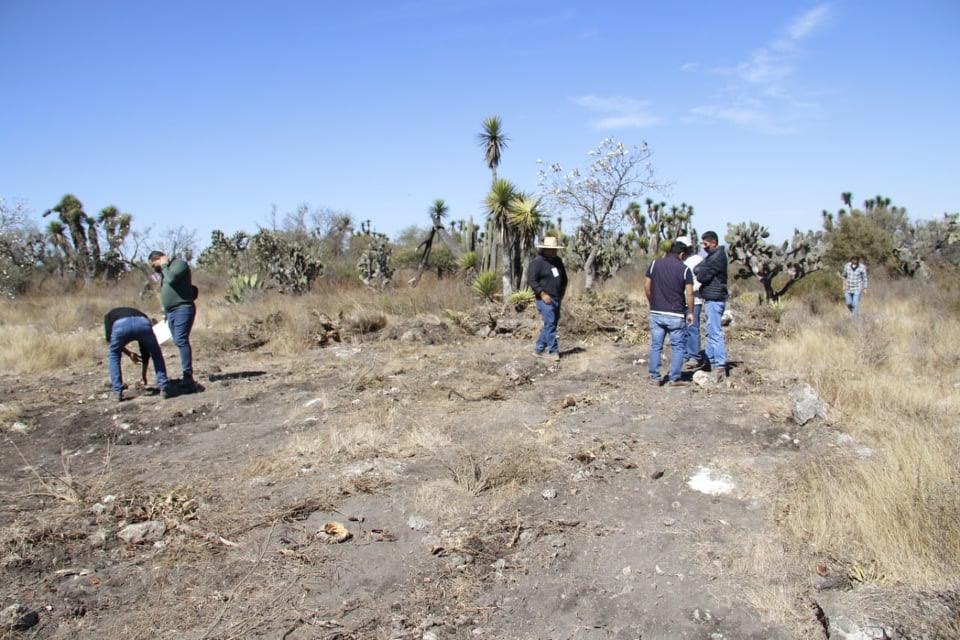 Desmontan y trafican especies endémicas de la RBTC
