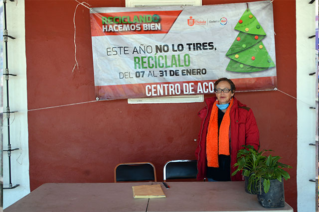 Reciben primeros árboles para reciclar en San Pedro Cholula