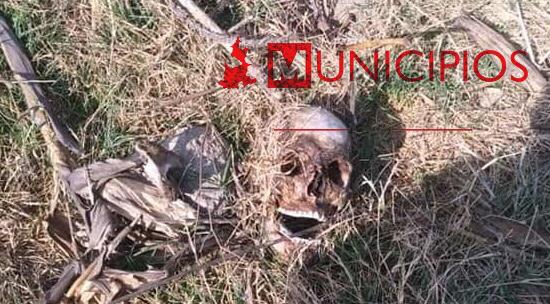 Hallan restos humanos entre Amozoc y San Agustín Tlaxco