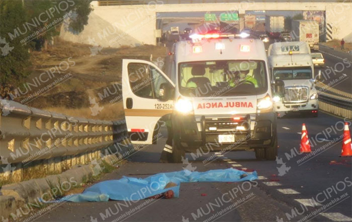 VIDEO Autos atropellan a joven y lo dejan desmembrado en la Puebla-Orizaba