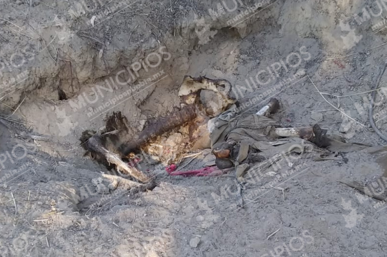 Campesinos hallan restos humanos en Texmelucan