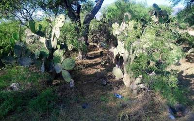 Hallan cráneos y huesos humanos en barranca de La Resurrección