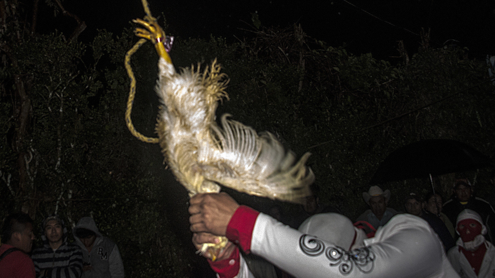 Ponen fin a la tradicional descabezada en Huauchinango