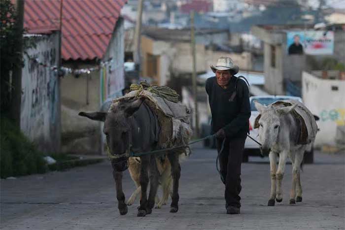 En riesgo mil 500 personas por el frío en Chiautzingo