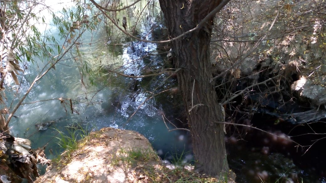 Textileros y queseros contaminan ríos de Texmelucan